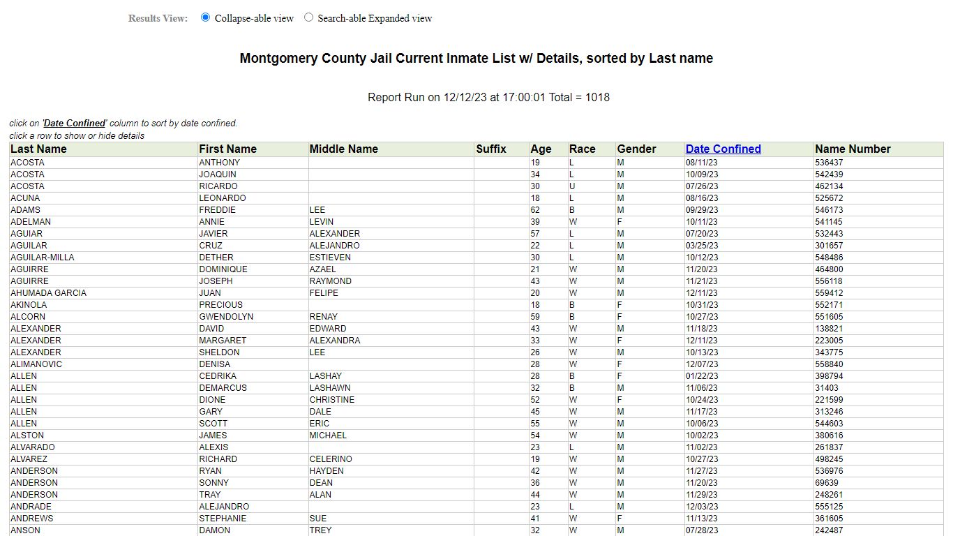 Jail Roster